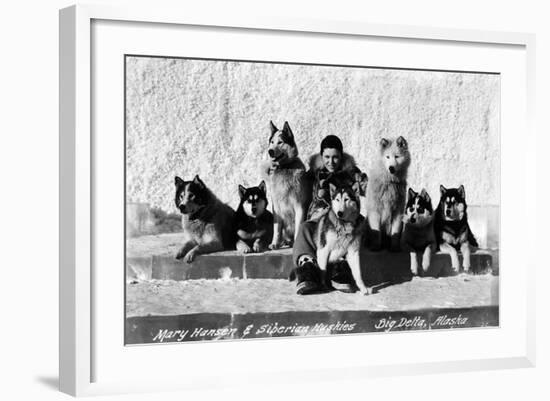 Big Delta, Alaska - Mary Hansen and Siberian Huskies-Lantern Press-Framed Art Print