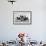 Big Delta, Alaska - Mary Hansen and Siberian Huskies-Lantern Press-Framed Art Print displayed on a wall