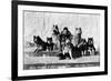 Big Delta, Alaska - Mary Hansen and Siberian Huskies-Lantern Press-Framed Art Print