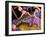 Big Diva Circus-Wyanne-Framed Giclee Print