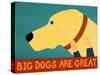 Big Dogs Are Great Yellow-Stephen Huneck-Stretched Canvas