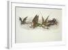 Big Dragons Eat Little Dragons, 1979-Wayne Anderson-Framed Giclee Print