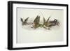 Big Dragons Eat Little Dragons, 1979-Wayne Anderson-Framed Giclee Print