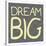 Big Dream Reverse-Milli Villa-Stretched Canvas