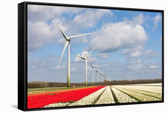 Big Dutch Colorful Tulip Fields with Wind Turbines-kruwt-Framed Stretched Canvas