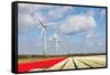 Big Dutch Colorful Tulip Fields with Wind Turbines-kruwt-Framed Stretched Canvas