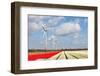 Big Dutch Colorful Tulip Fields with Wind Turbines-kruwt-Framed Photographic Print