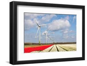 Big Dutch Colorful Tulip Fields with Wind Turbines-kruwt-Framed Photographic Print