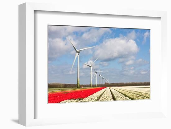 Big Dutch Colorful Tulip Fields with Wind Turbines-kruwt-Framed Photographic Print