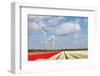 Big Dutch Colorful Tulip Fields with Wind Turbines-kruwt-Framed Photographic Print