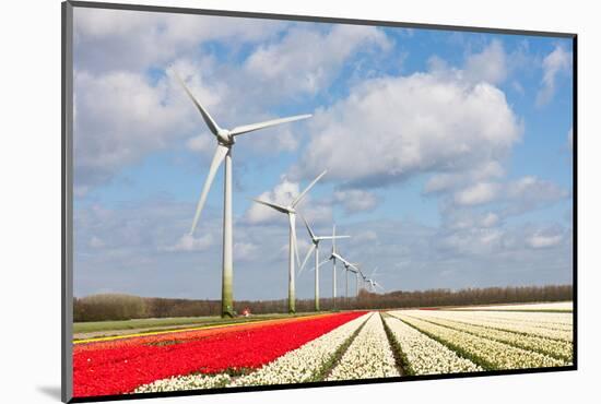 Big Dutch Colorful Tulip Fields with Wind Turbines-kruwt-Mounted Photographic Print