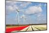 Big Dutch Colorful Tulip Fields with Wind Turbines-kruwt-Mounted Photographic Print