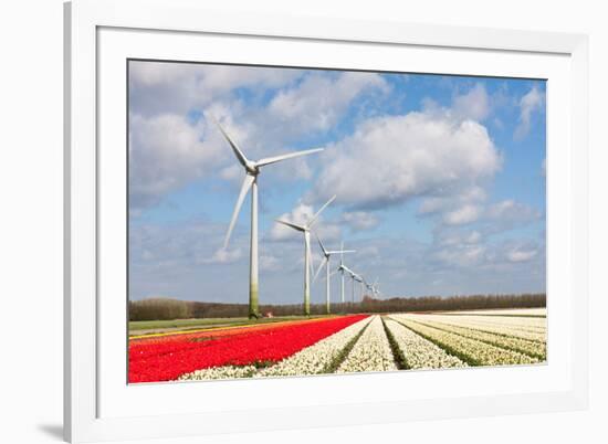 Big Dutch Colorful Tulip Fields with Wind Turbines-kruwt-Framed Photographic Print