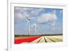 Big Dutch Colorful Tulip Fields with Wind Turbines-kruwt-Framed Photographic Print