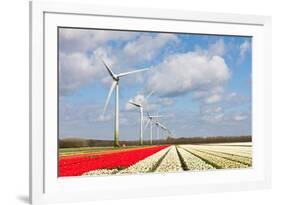 Big Dutch Colorful Tulip Fields with Wind Turbines-kruwt-Framed Photographic Print