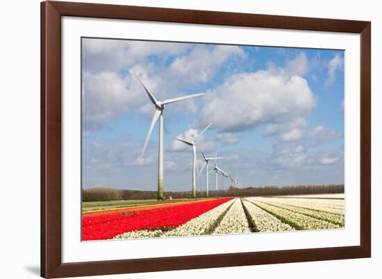 Big Dutch Colorful Tulip Fields with Wind Turbines-kruwt-Framed Photographic Print