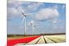 Big Dutch Colorful Tulip Fields with Wind Turbines-kruwt-Mounted Photographic Print