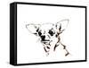 Big Ears the Chihuahua, 2012-Jo Chambers-Framed Stretched Canvas