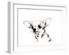 Big Ears the Chihuahua, 2012-Jo Chambers-Framed Giclee Print