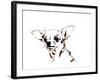 Big Ears the Chihuahua, 2012-Jo Chambers-Framed Giclee Print