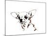 Big Ears the Chihuahua, 2012-Jo Chambers-Mounted Giclee Print