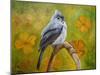 Big Eyed Tufted Titmouse-Angeles M Pomata-Mounted Giclee Print