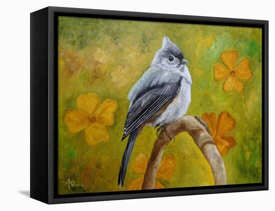 Big Eyed Tufted Titmouse-Angeles M Pomata-Framed Stretched Canvas