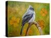 Big Eyed Tufted Titmouse-Angeles M Pomata-Stretched Canvas