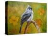 Big Eyed Tufted Titmouse-Angeles M Pomata-Stretched Canvas