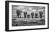 Big Family-Marcel Rebro-Framed Art Print