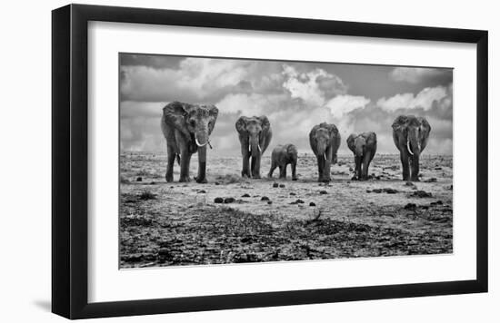 Big Family-Marcel Rebro-Framed Art Print