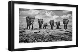 Big Family-Marcel Rebro-Framed Art Print