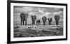 Big Family-Marcel Rebro-Framed Art Print