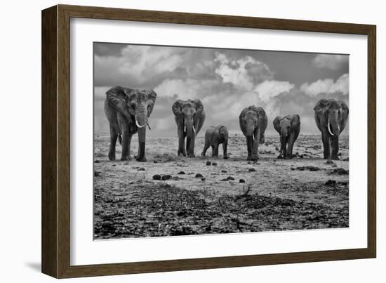 Big Family-Marcel Rebro-Framed Photographic Print