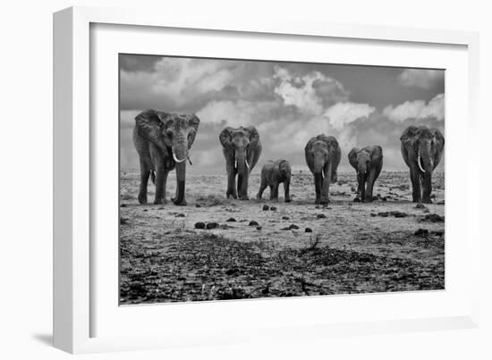 Big Family-Marcel Rebro-Framed Photographic Print