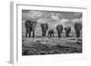 Big Family-Marcel Rebro-Framed Photographic Print