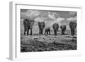 Big Family-Marcel Rebro-Framed Photographic Print