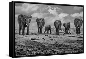 Big Family-Marcel Rebro-Framed Stretched Canvas