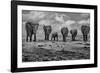 Big Family-Marcel Rebro-Framed Photographic Print