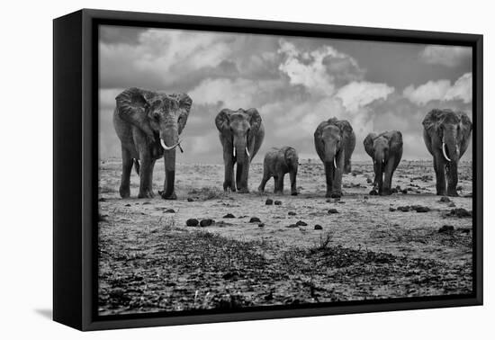 Big Family-Marcel Rebro-Framed Stretched Canvas