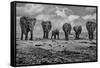 Big Family-Marcel Rebro-Framed Stretched Canvas