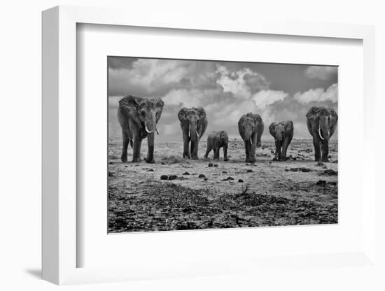 Big Family-Marcel Rebro-Framed Photographic Print