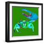 Big Fidler Crab-Robbin Rawlings-Framed Art Print