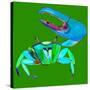 Big Fidler Crab-Robbin Rawlings-Stretched Canvas