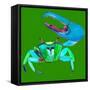 Big Fidler Crab-Robbin Rawlings-Framed Stretched Canvas