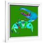 Big Fidler Crab-Robbin Rawlings-Framed Art Print