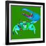 Big Fidler Crab-Robbin Rawlings-Framed Art Print