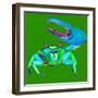 Big Fidler Crab-Robbin Rawlings-Framed Art Print