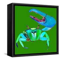 Big Fidler Crab-Robbin Rawlings-Framed Stretched Canvas