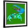 Big Fidler Crab-Robbin Rawlings-Framed Art Print